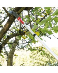 PERTIGA MOD. P25 TIJERA CORTARRAMAS AMIG