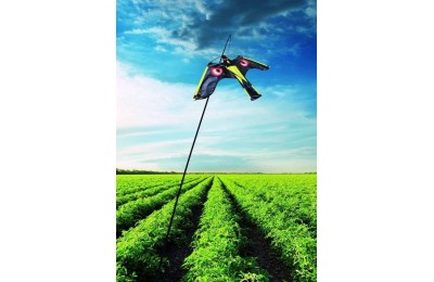 HALCON COMETA AHUYENTA PAJAROS MASSO