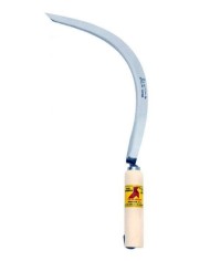 CORVILLA MANGO COMUN