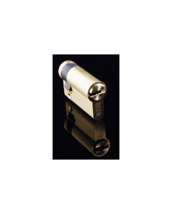 CILINDRO IFAMM F6S LATONADO SEGURIDAD 60 MM. 30X30 LEVA LARGA
