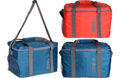 BOLSA NEVERA COOLER BAG 24 LTS.
