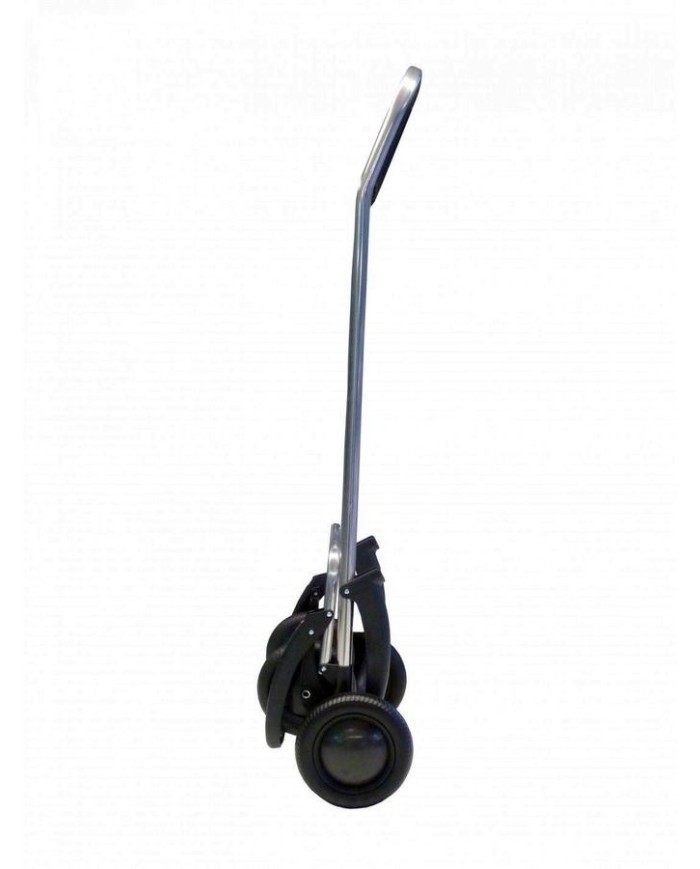 CARRO ROLSER SBELTA MF 4.2 BURDEOS