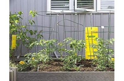 TRAMPA ADHESIVA ATRAPA INSECTOS GREENTRAP