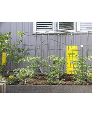 TRAMPA ADHESIVA ATRAPA INSECTOS GREENTRAP