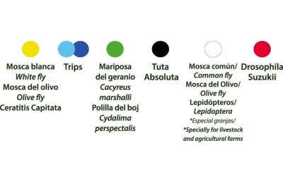 TRAMPA ADHESIVA ATRAPA INSECTOS GREENTRAP