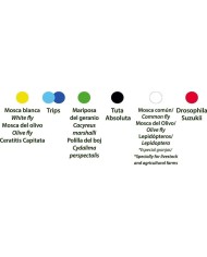 TRAMPA ADHESIVA ATRAPA INSECTOS GREENTRAP