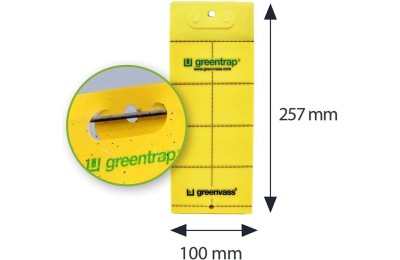 TRAMPA ADHESIVA ATRAPA INSECTOS GREENTRAP