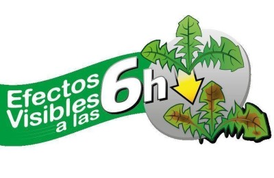 HERBICIDA ROUNDUP 1 LT. PISTOLA MASSO