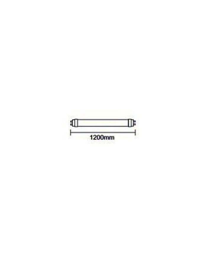 TUBO LED GSC 18W. 6500K. 120CMS. SIN CEBADOR 200815032