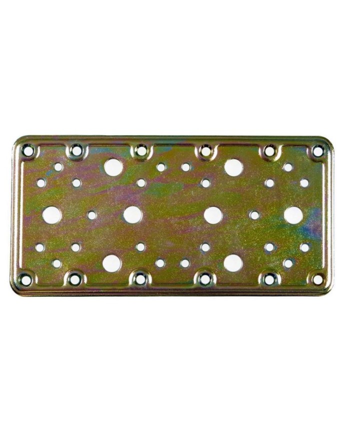 PLACA RECTA AMIG BICR.503 200X100 PERGOL