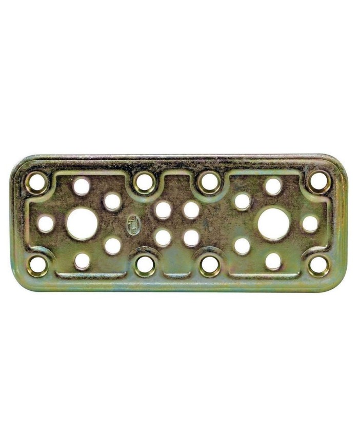 PLACA RECTA AMIG BICR.500 160X50 PERGOLA