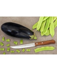 CUCHILLO ARCOS MODELO LATINA COCINA 130 MM. 100600