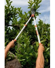 TIJERA CORTASETOS BAHCO TELESCOPICA PG-57-F