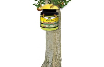 TRAMPA MASSO PARA MOSCA FRUTA Y AVISPAS