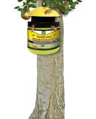 TRAMPA MASSO PARA MOSCA FRUTA Y AVISPAS