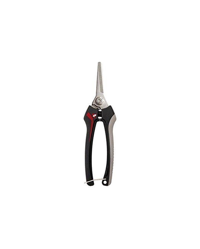 TIJERA RECOLECTAR BELLOTA 3623 INOXIDABLE