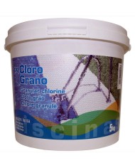 CLORO PQS 10 ACCIONES BICAPA (BT.5 KGS.)