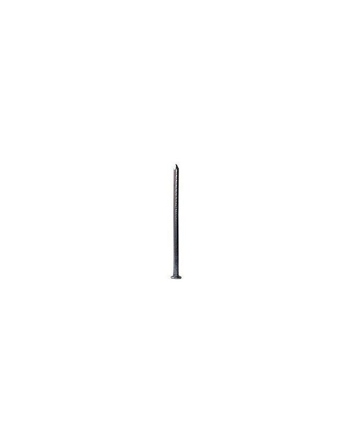 PUNTAS CABEZA PLANA 16 X 60 (PQ.3KGS.)