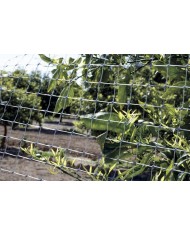 MALLA PLASTICO AVINET GIRS 24X27 R/10MT.