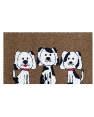 FELPUDO DUETT F/SINTETICA PDG 70X40CMS.