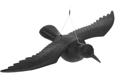 CUERVO NEGRO KOOP AHUYENTADOR DE PAJAROS