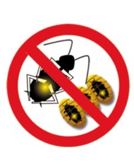 TRAMPA CEBO CUCARACHAS 2 UDS. MASSO