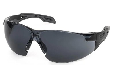 GAFAS PEGASO OMNIS 205.02 SOLAR