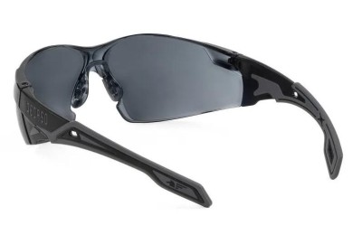 GAFAS PEGASO OMNIS 205.02 SOLAR