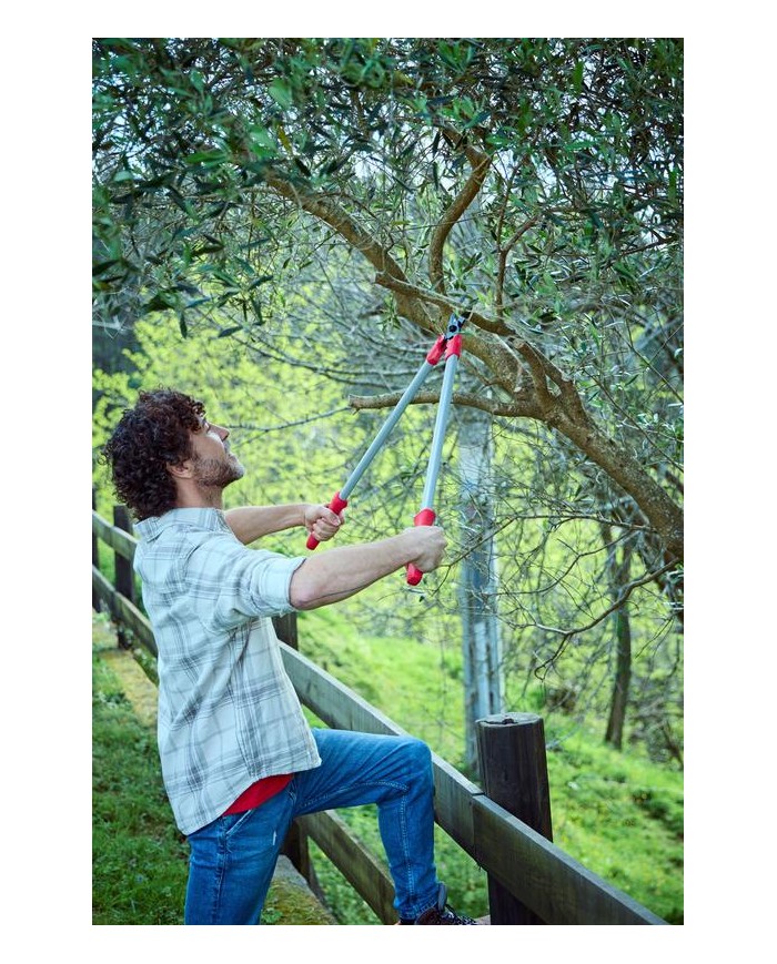 TIJERA PODAR 2 MANOS 75CMS. 3450 BELLOTA