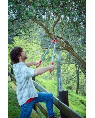 TIJERA PODAR 2 MANOS 75CMS. 3450 BELLOTA