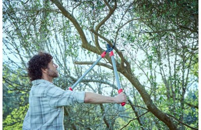 TIJERA PODAR 2 MANOS 75CMS. 3450 BELLOTA