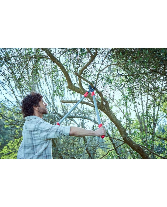 TIJERA PODAR 2 MANOS 75CMS. 3450 BELLOTA