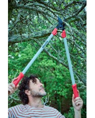 TIJERA PODAR 2 MANOS 75CMS. 3450 BELLOTA