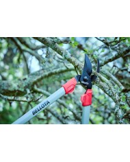 TIJERA PODAR 2 MANOS 75CMS. 3450 BELLOTA