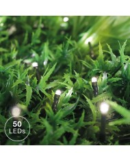 GUIRNALDA 8 FUNCIONES LED  5MTS. 2700K GSC