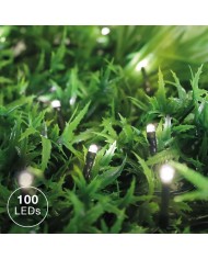 GUIRNALDA 8 FUNCIONES LED 10MTS. 2700K GSC