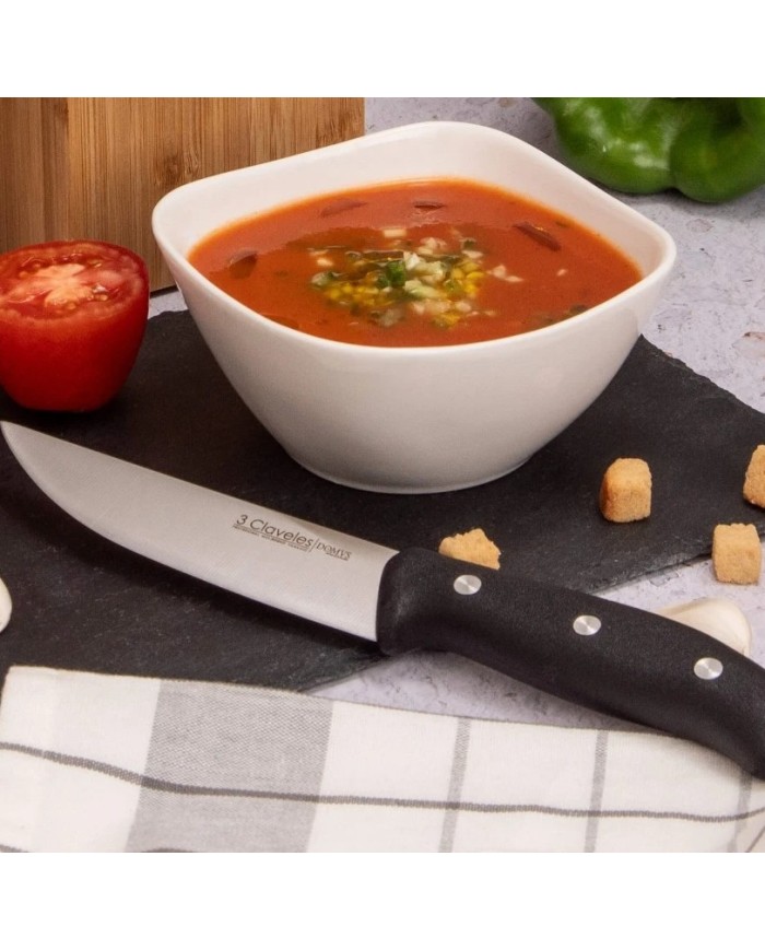 CUCHILLO COCINA DOMVS 3CLAV. 13,5CMS.