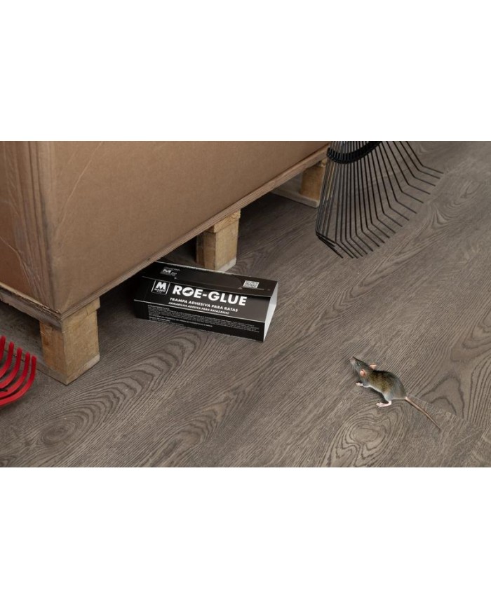 TRAMPA ADHESIVA MASSO RATAS CARTON (4UDS.)