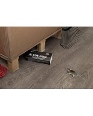 TRAMPA ADHESIVA MASSO RATAS CARTON (4UDS.)