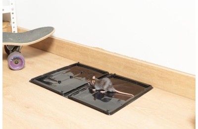 TRAMPA ADHESIVA MASSO RATAS PLASTICO (2UDS.) 231556