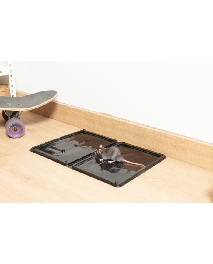 TRAMPA ADHESIVA MASSO RATAS PLASTICO (2UDS.) 231556
