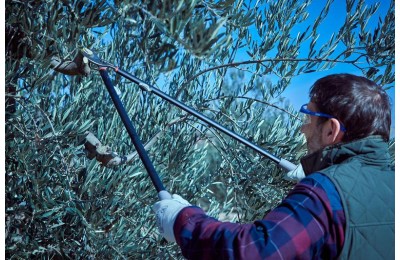 TIJERA PODA BELLOTA 2 MANOS 3580-90