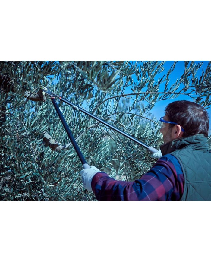 TIJERA PODA BELLOTA 2 MANOS 3580-90