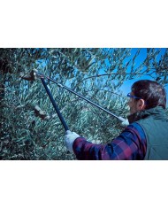 TIJERA PODA BELLOTA 2 MANOS 3580-90