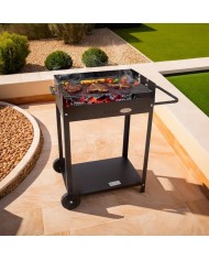 BARBACOA IMOR MODELO TORINO 60X40CMS. 080.115