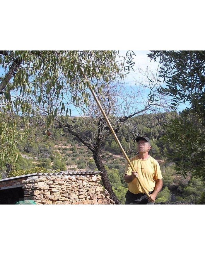 VARA DE ALMENDRA ALMES