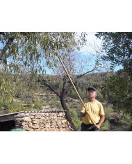 VARA DE ALMENDRA ALMES