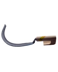 CORVILLA MANGO COMUN