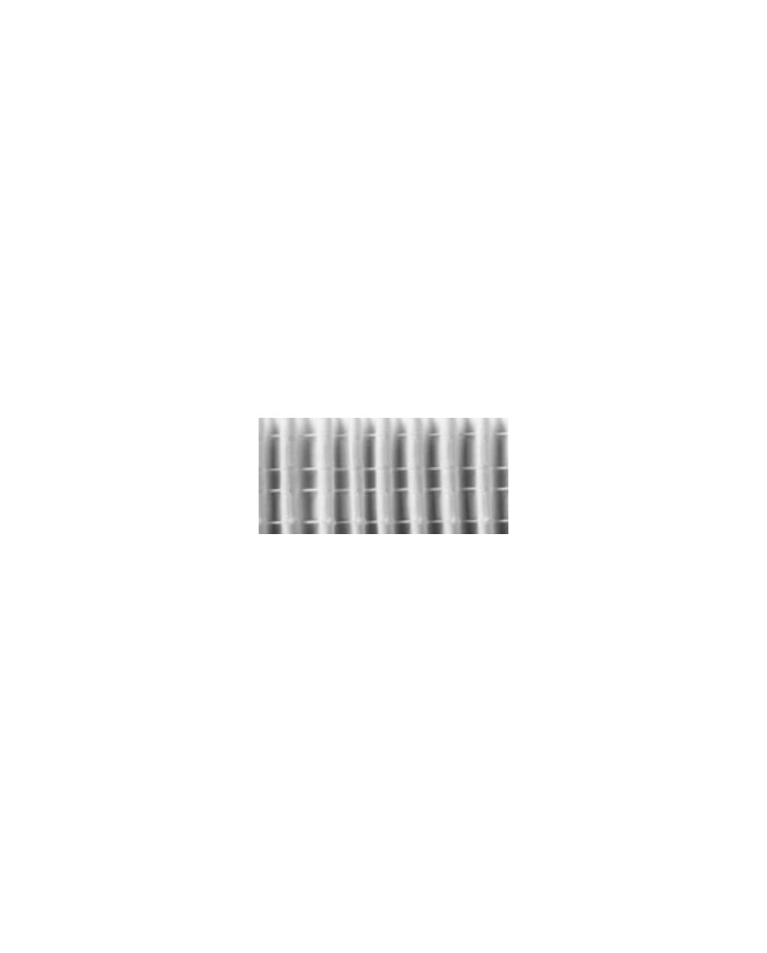CINTA CORTINA CHYC LIA-75 BLANCA (ROLLO100)