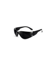 GAFAS PEGASO MODELO VISITOR 150.01 TRANSPARENTE